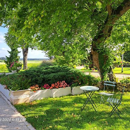 Réaux La Metairie Au Milieu Des Vignes 아파트 외부 사진