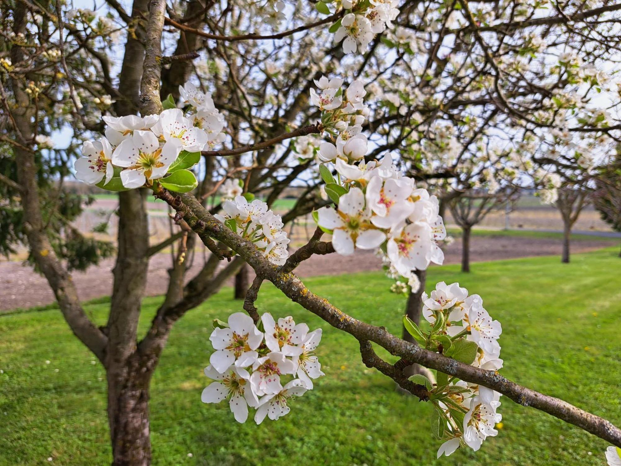 Réaux La Metairie Au Milieu Des Vignes 아파트 외부 사진