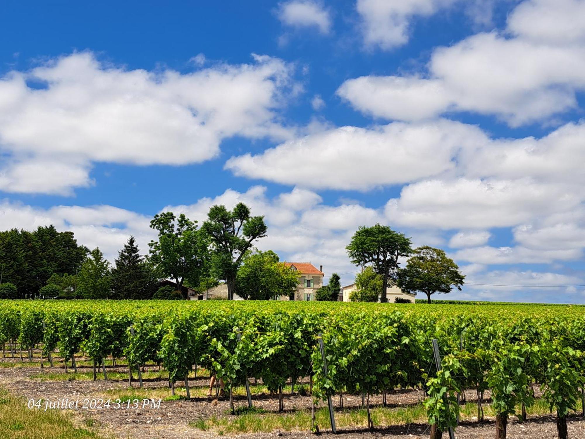 Réaux La Metairie Au Milieu Des Vignes 아파트 외부 사진