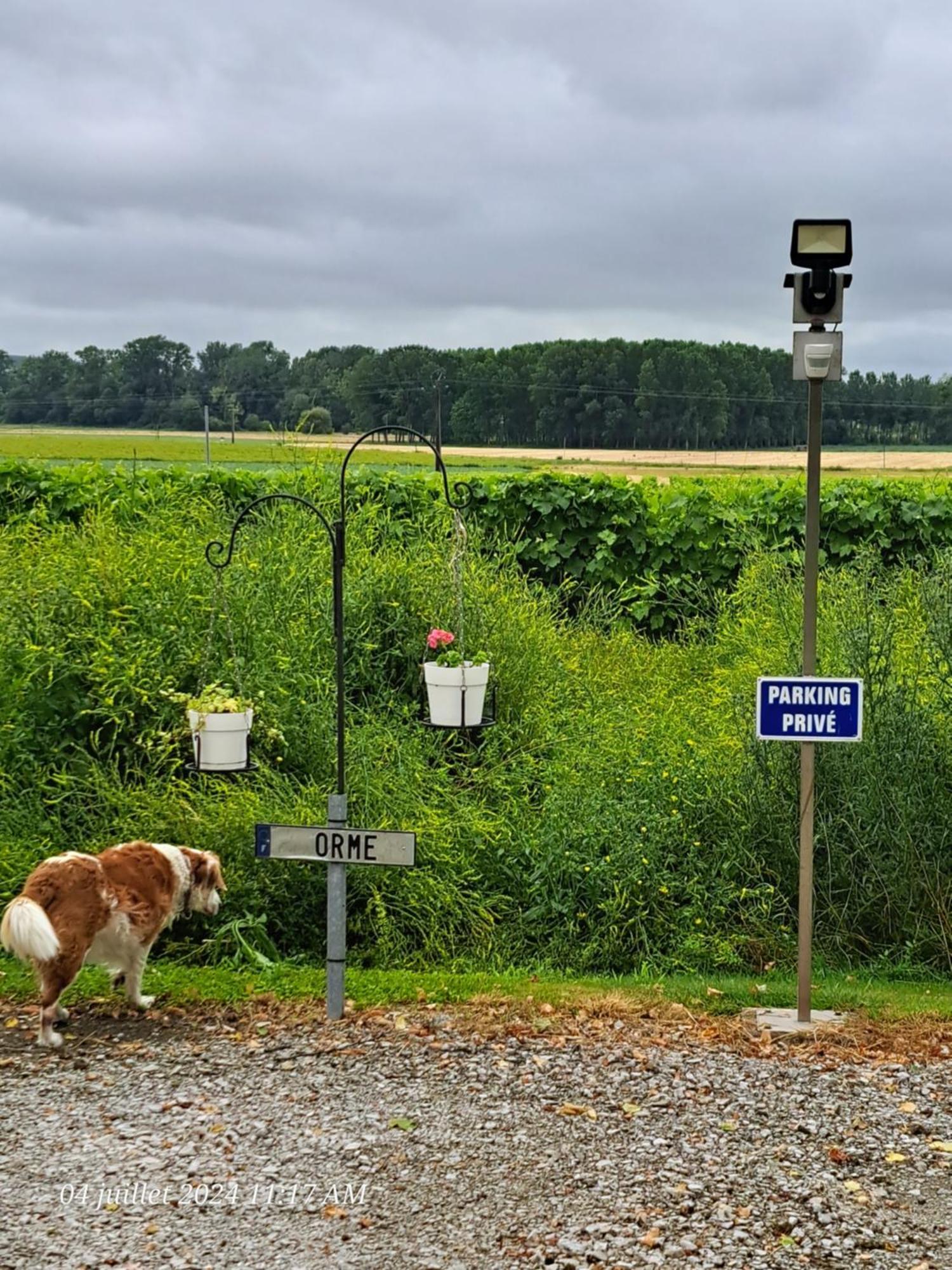 Réaux La Metairie Au Milieu Des Vignes 아파트 외부 사진