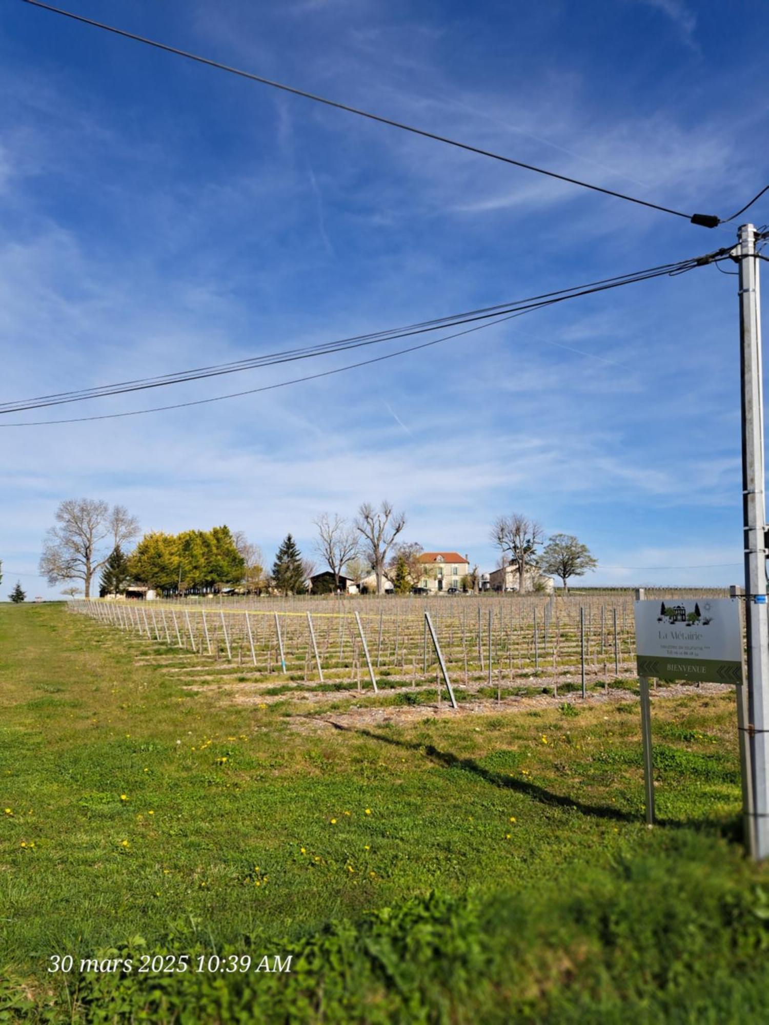Réaux La Metairie Au Milieu Des Vignes 아파트 외부 사진